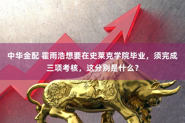中华金配 霍雨浩想要在史莱克学院毕业，须完成三项考核，这分别是什么？