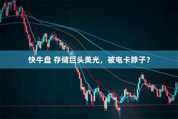 快牛盘 存储巨头美光，被电卡脖子？