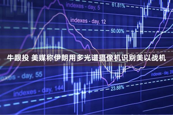牛跟投 美媒称伊朗用多光谱摄像机识别美以战机