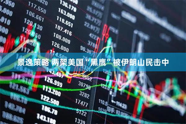 景逸策略 两架美国“黑鹰”被伊朗山民击中