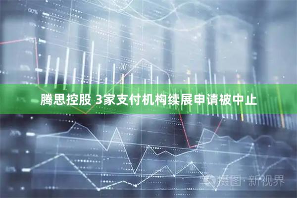 腾思控股 3家支付机构续展申请被中止